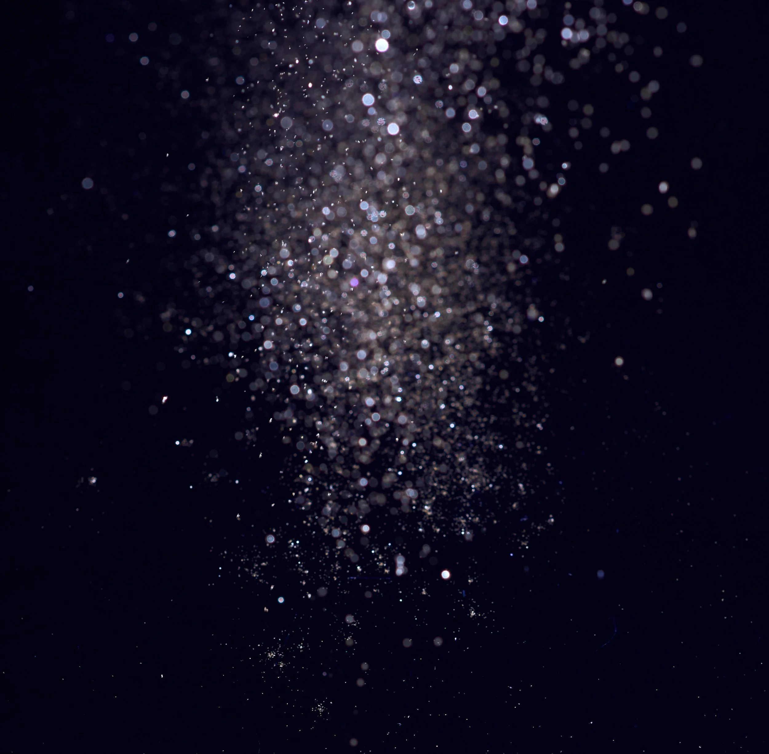 The Horizon and Everything Within It