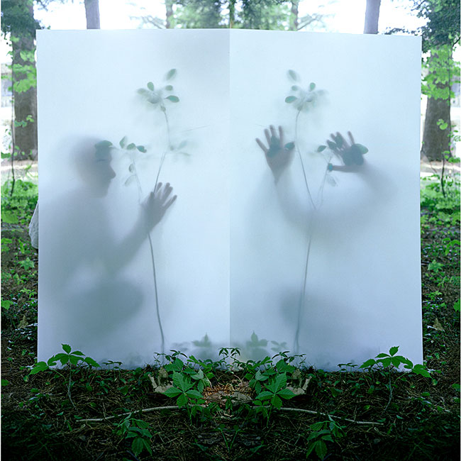 Tree Mirrored Diptych   1999   36X35