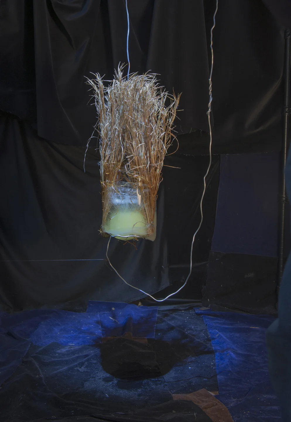 Grass in Ice with Thread to Steady