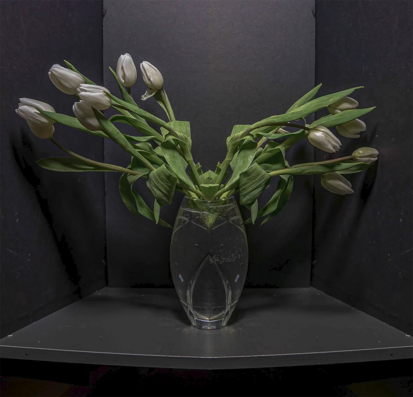 Tulips diptych  2022