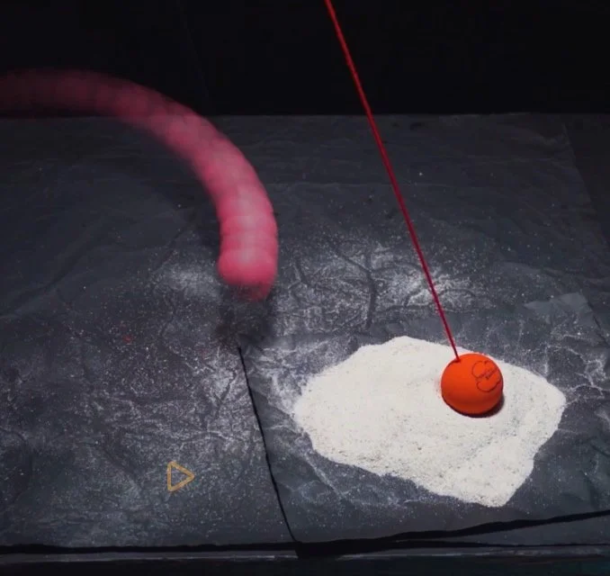 Spaldeen Motion Study 2025 (Copy)