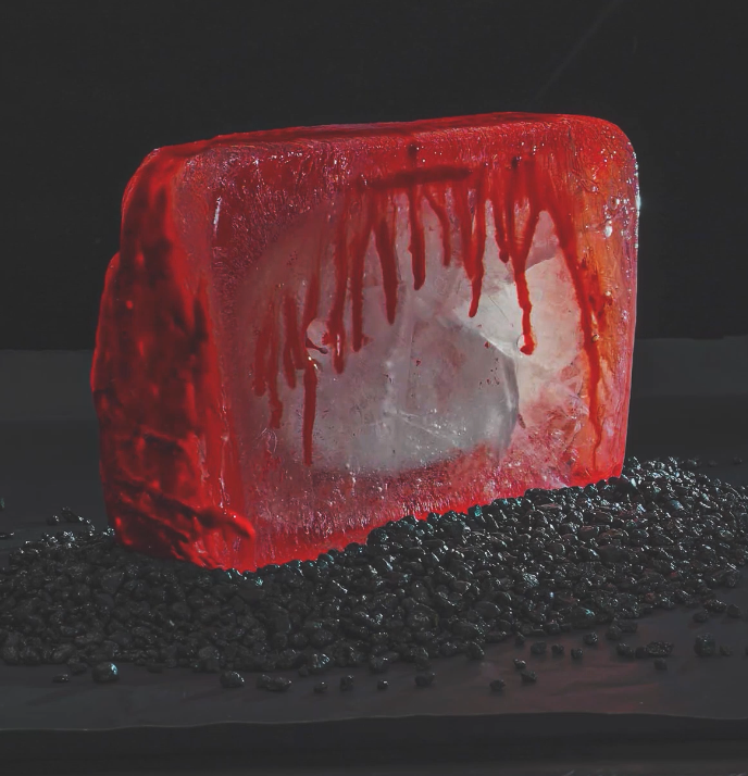 White Shell & Red with Spotlight 2026