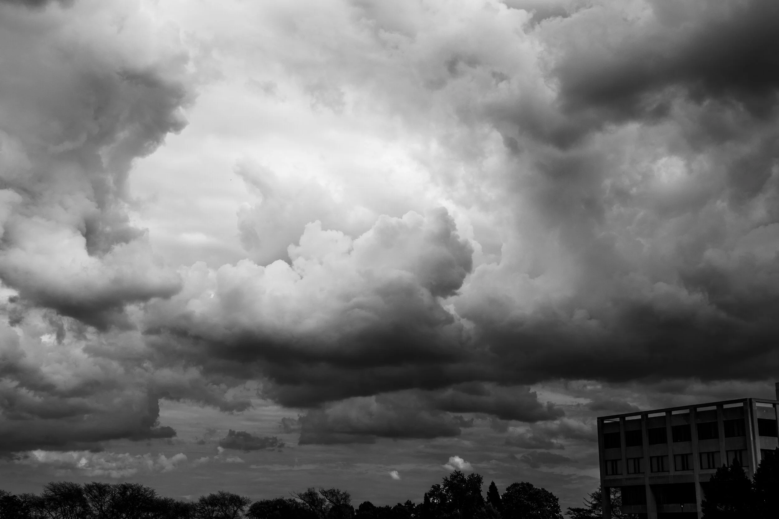 _DSC0369.jpg
