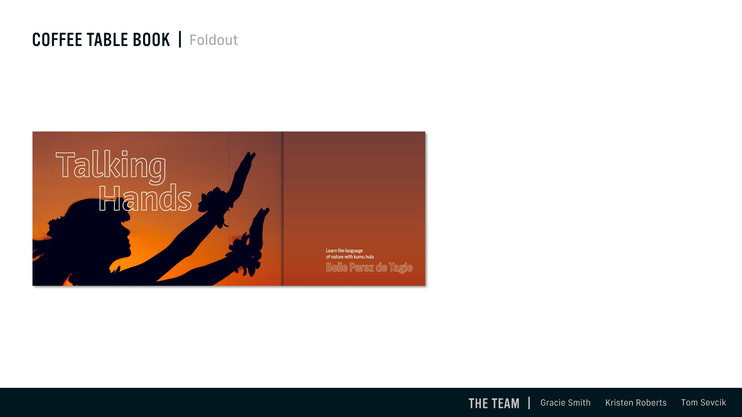 GRDS376_Casem_ExhibitClientDeliverables_Winter2023_ZenithDesign_Page_28.png