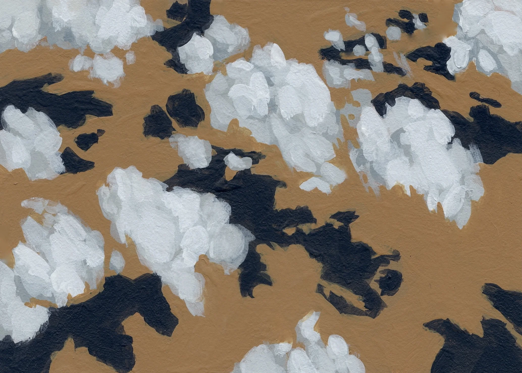 AboveTheClouds_II_Study.jpg