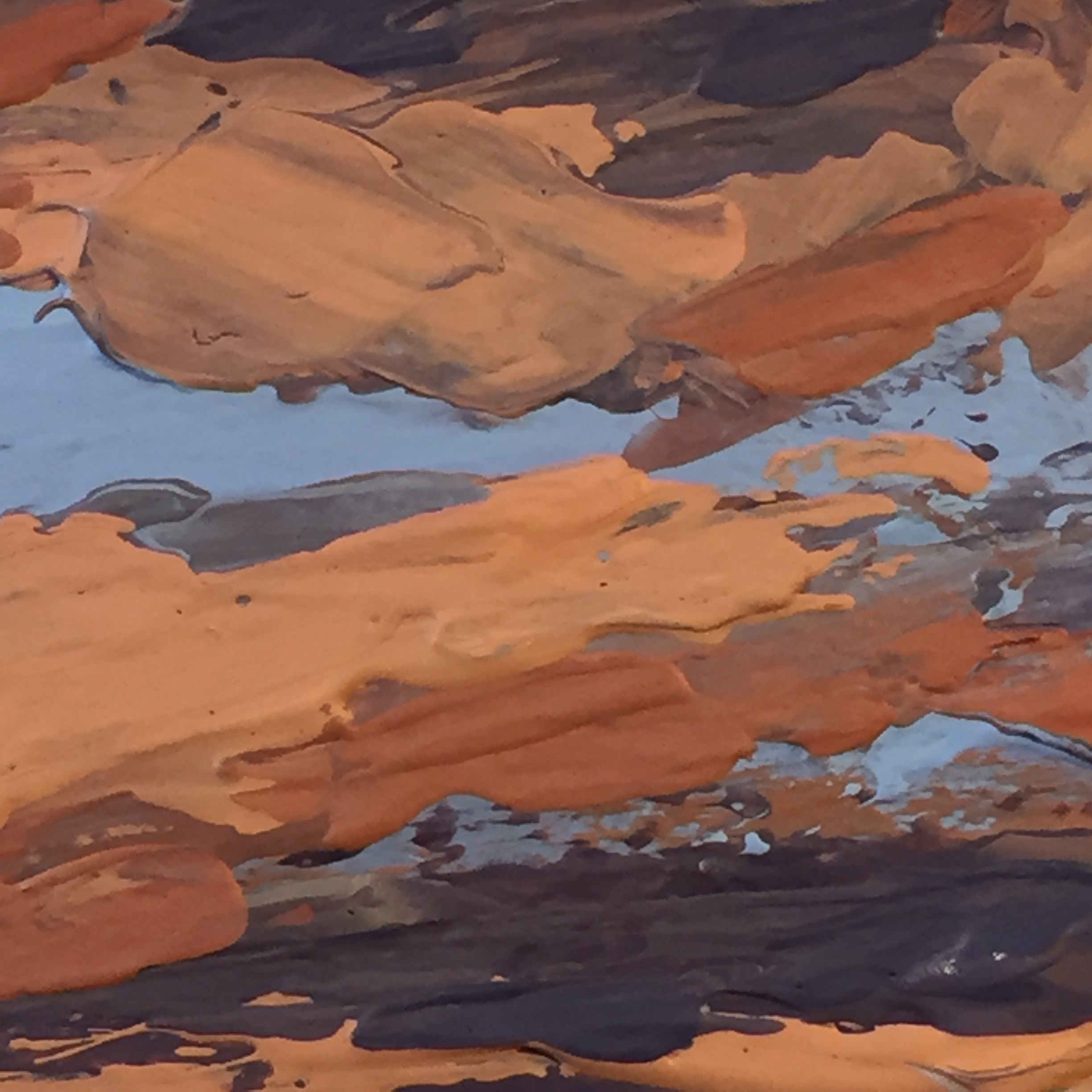 Day_28_Ortiz_Mountains_1_C.jpg