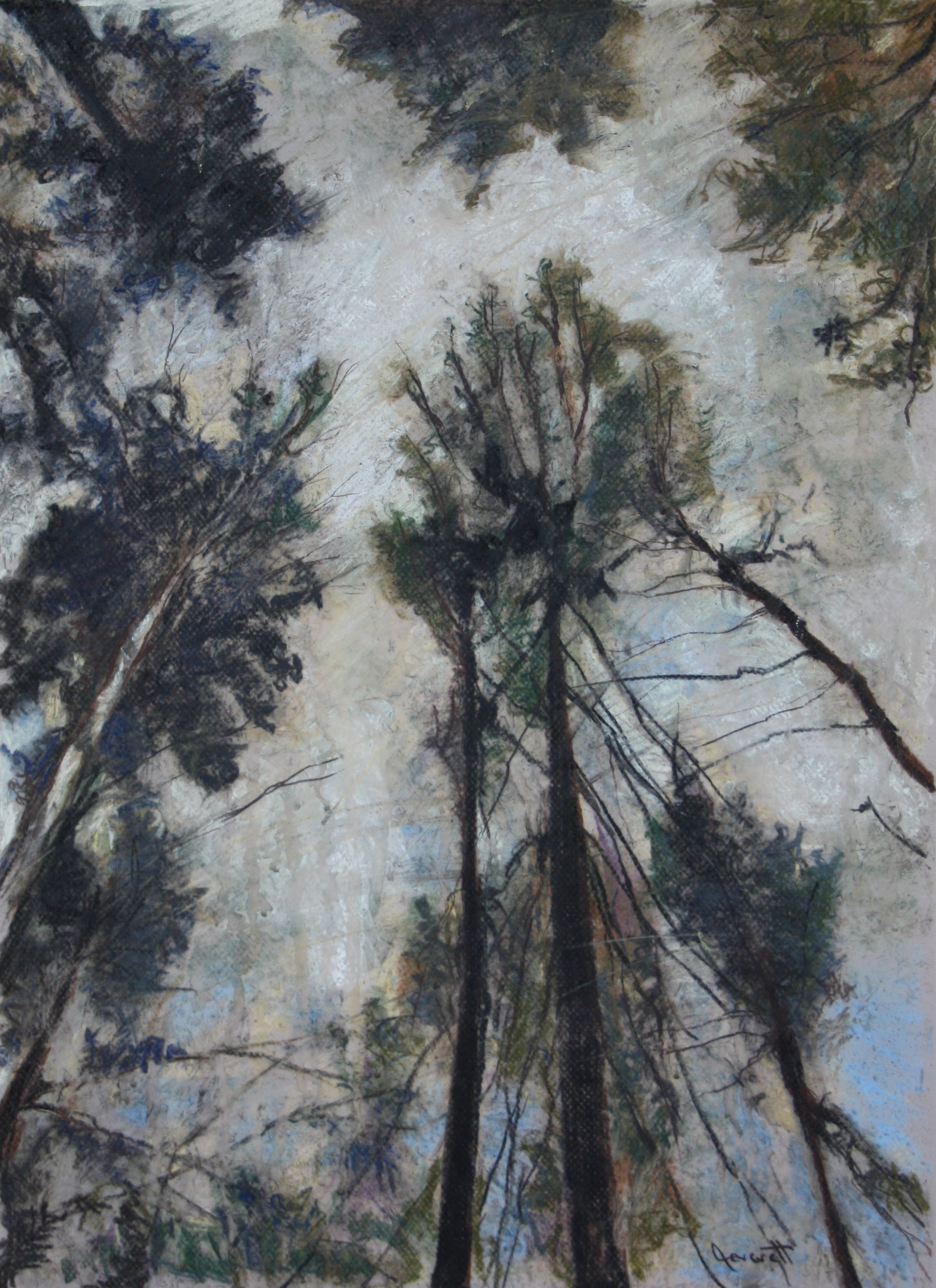 Canopy XIX, mixed drawing media on drafting film, 24x18"