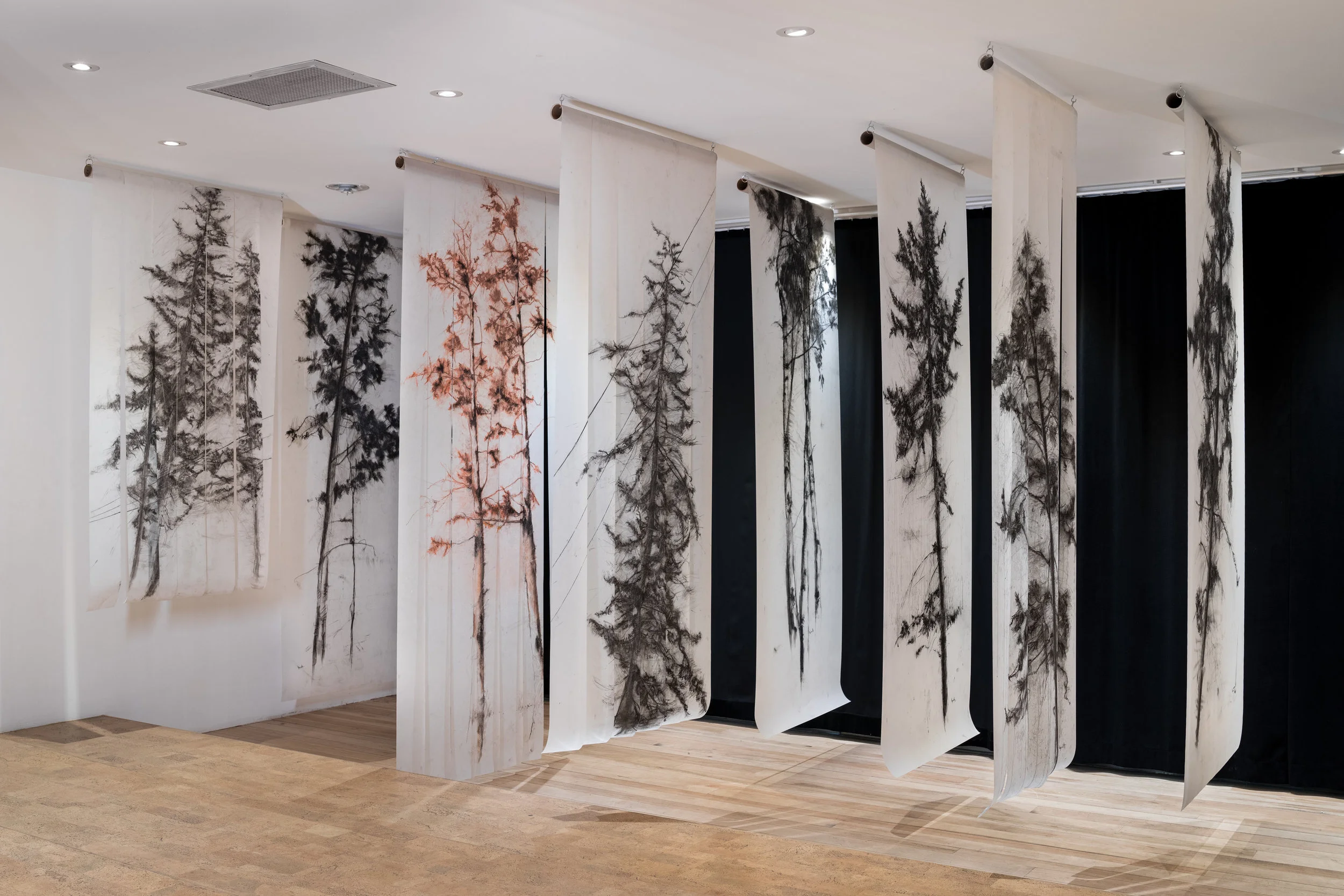 Understory installation at The Forum, Kelowna/ photo credit: Yuri Akuney