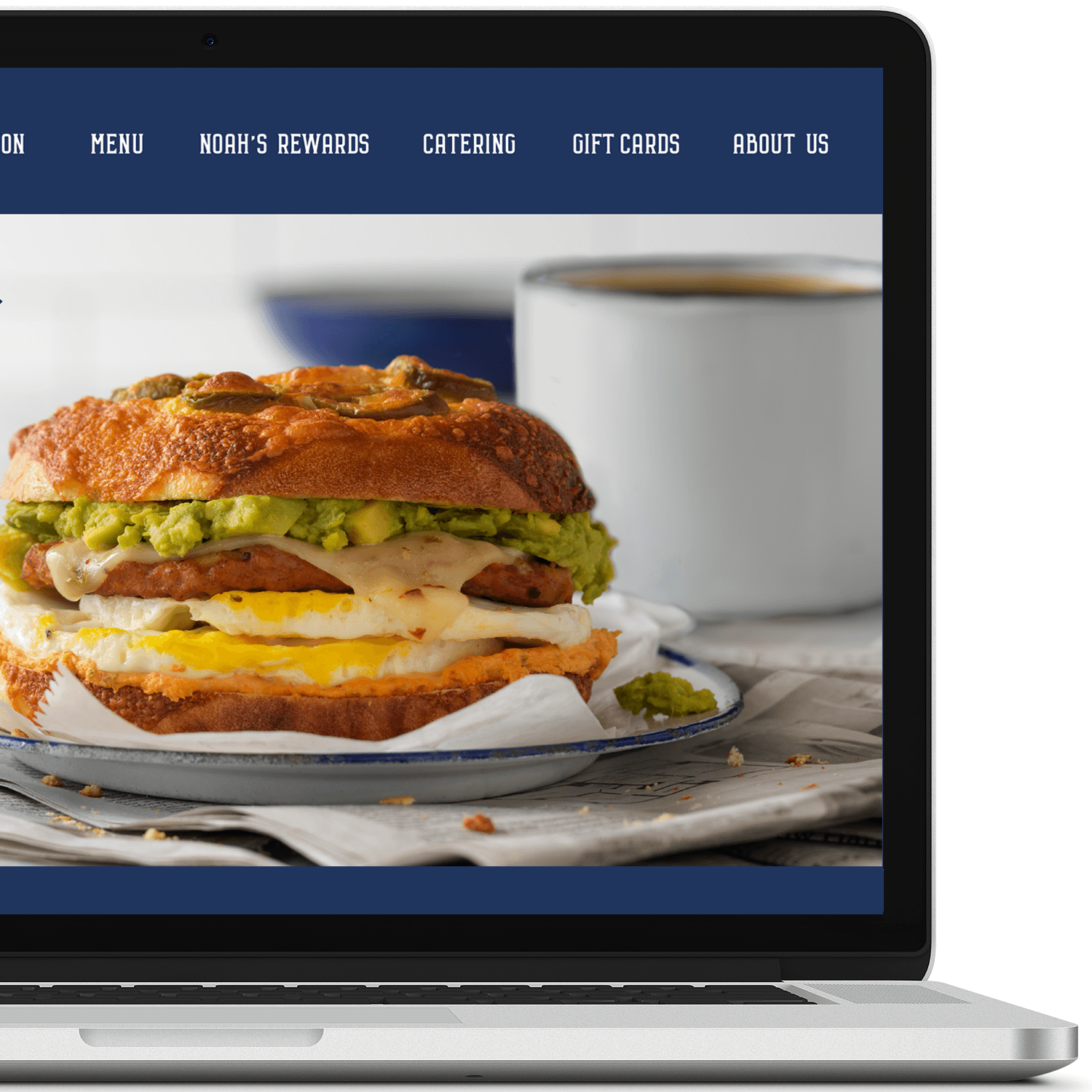 Index_NOAH_website3.png