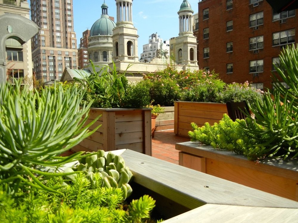 Urban Gardening For Beginners Fresh, Nyc Rooftop Landscaping