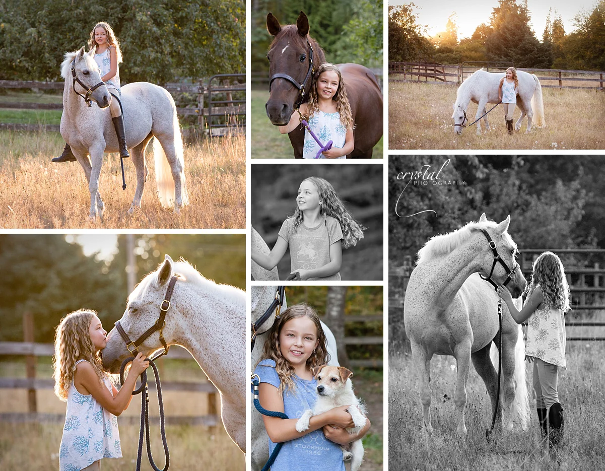 Ruby, Peppy (light colored Welsh Pony), Legacy (darker Quarter Horse/Morgan cross), and Stella too!