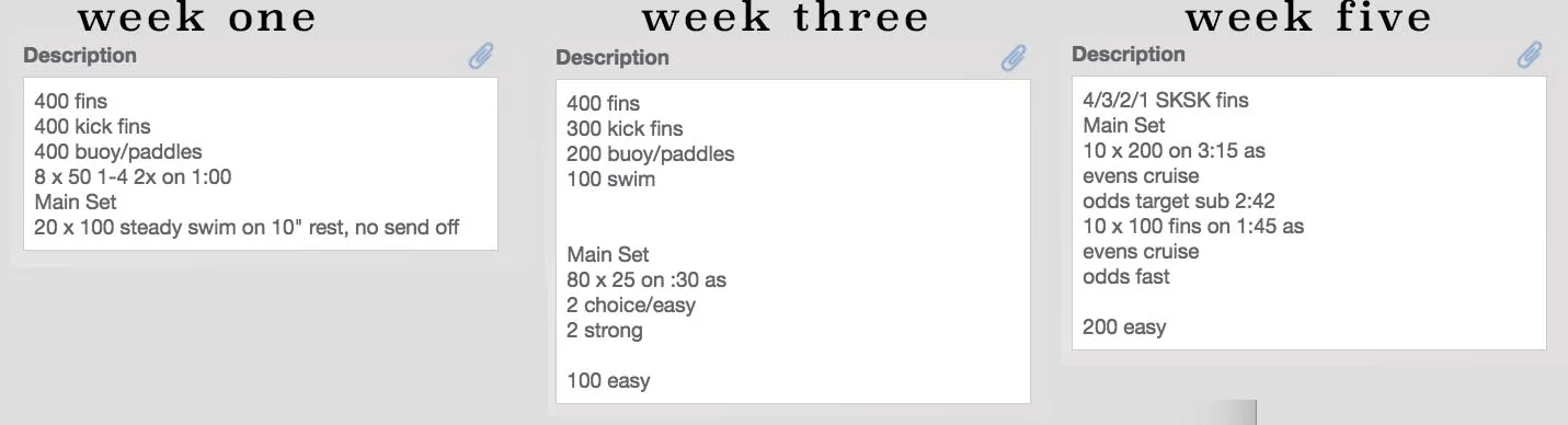 wed swim 1 5.jpg