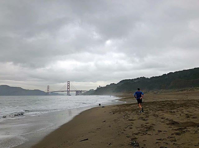 Solid SF trip in the books. Lots of work, dinners, and of course running. Now back to NYC... ☃️
#run #sf #sanfran #bakerbeach #triathlon #swimbikerun #ironmantri #running #instarunners #TeamEMJ #saucony