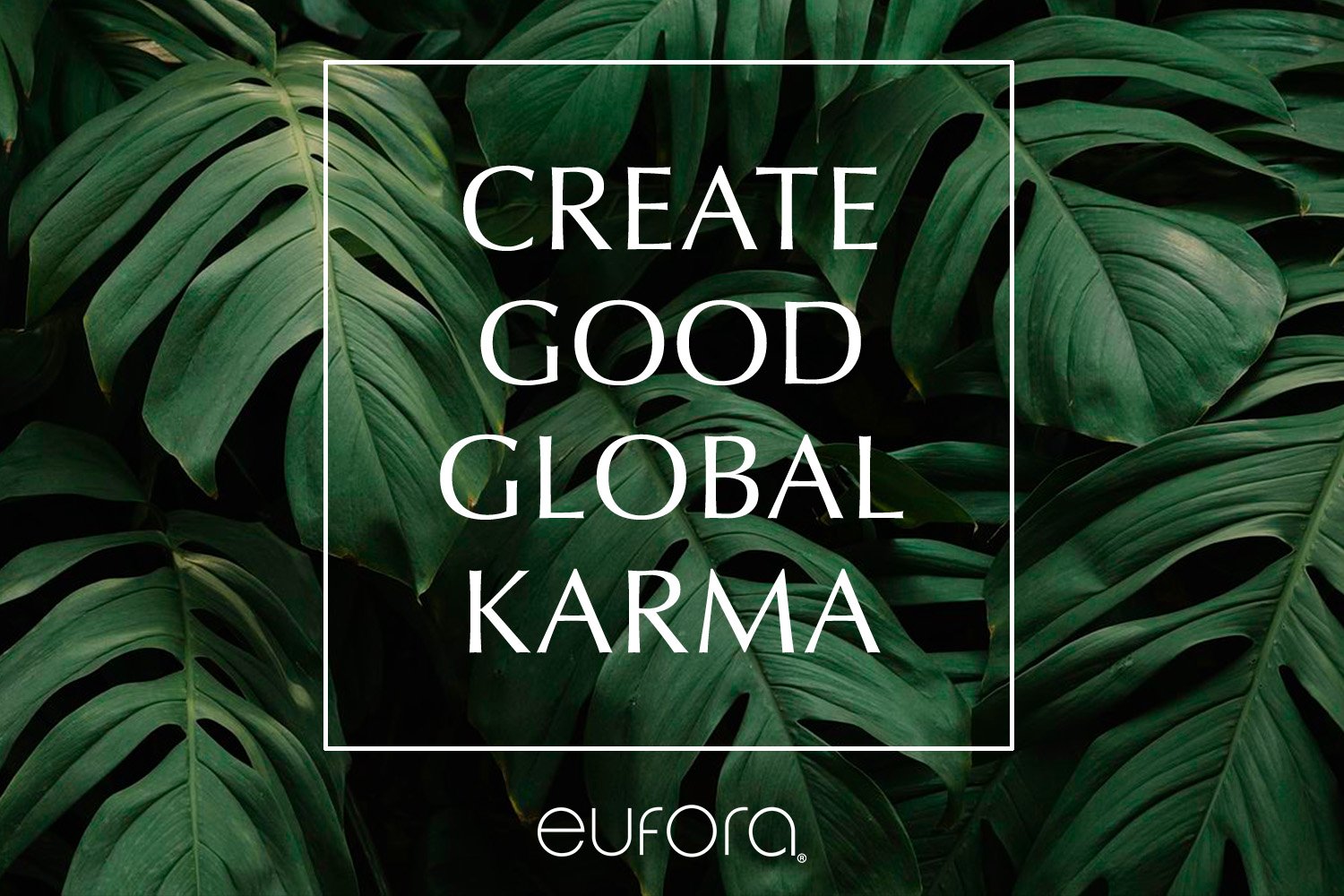 Eufora-Karma x1500.jpg