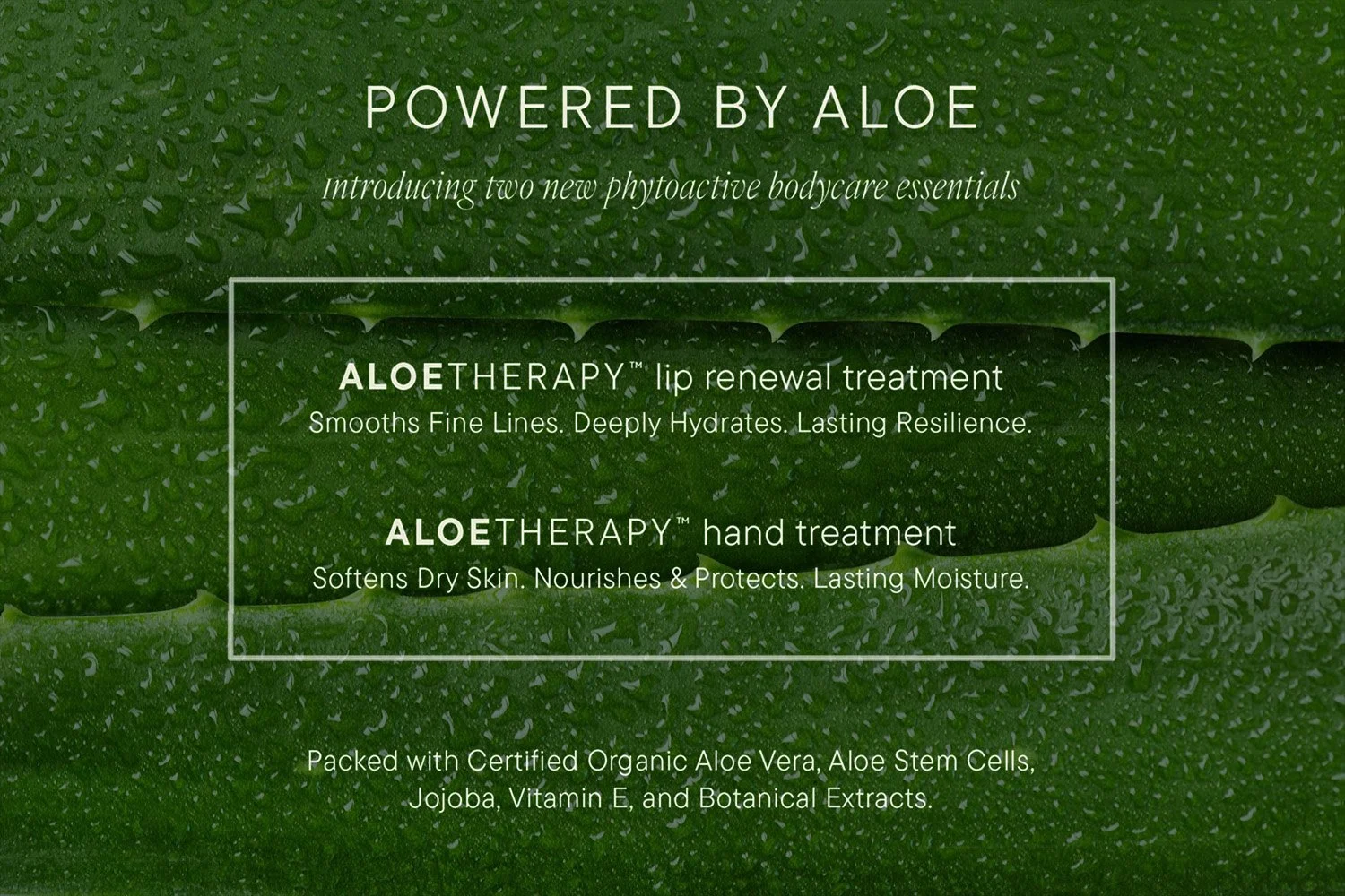 Eufora Powered By Aloe