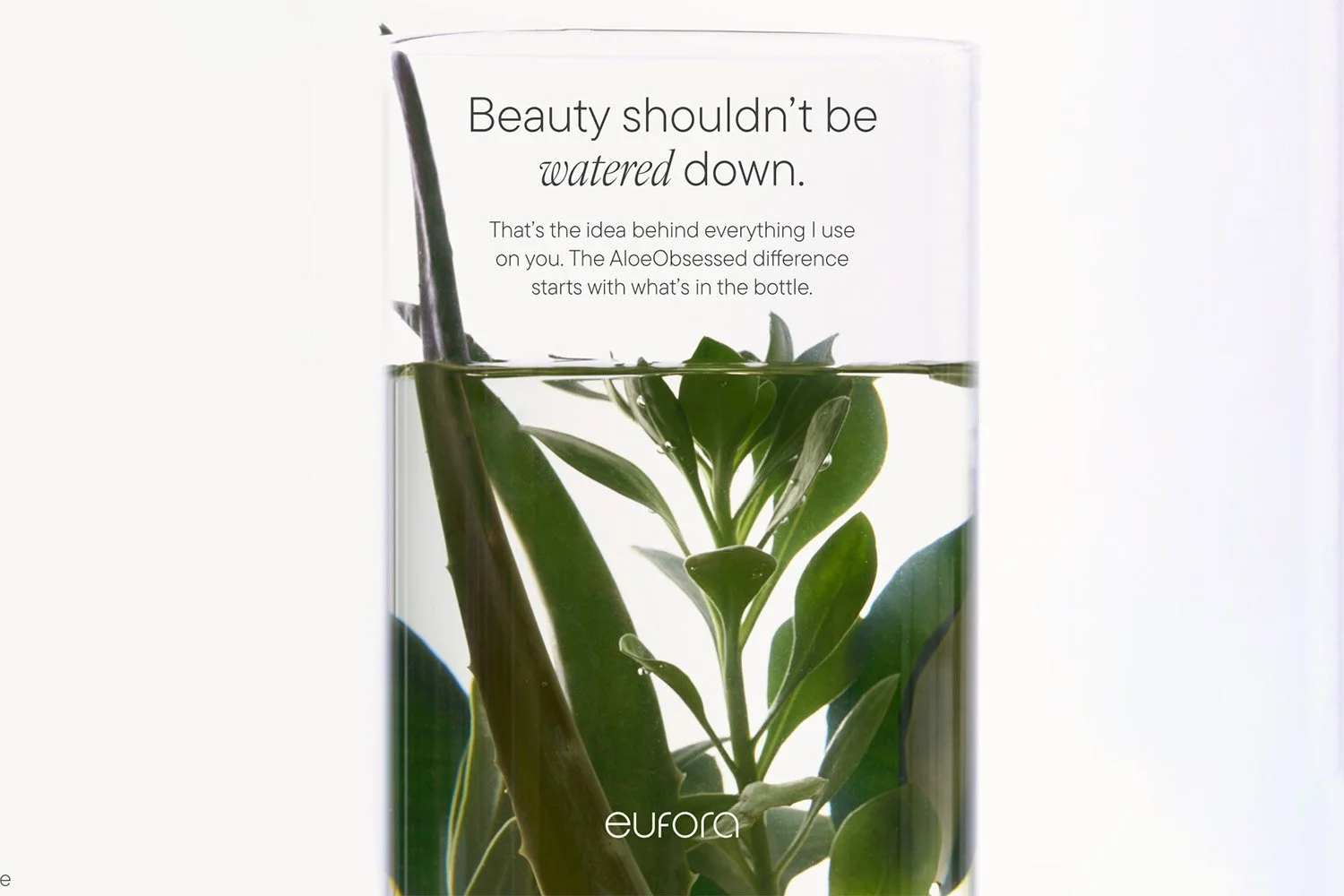 Beauty shouldn't be watered down