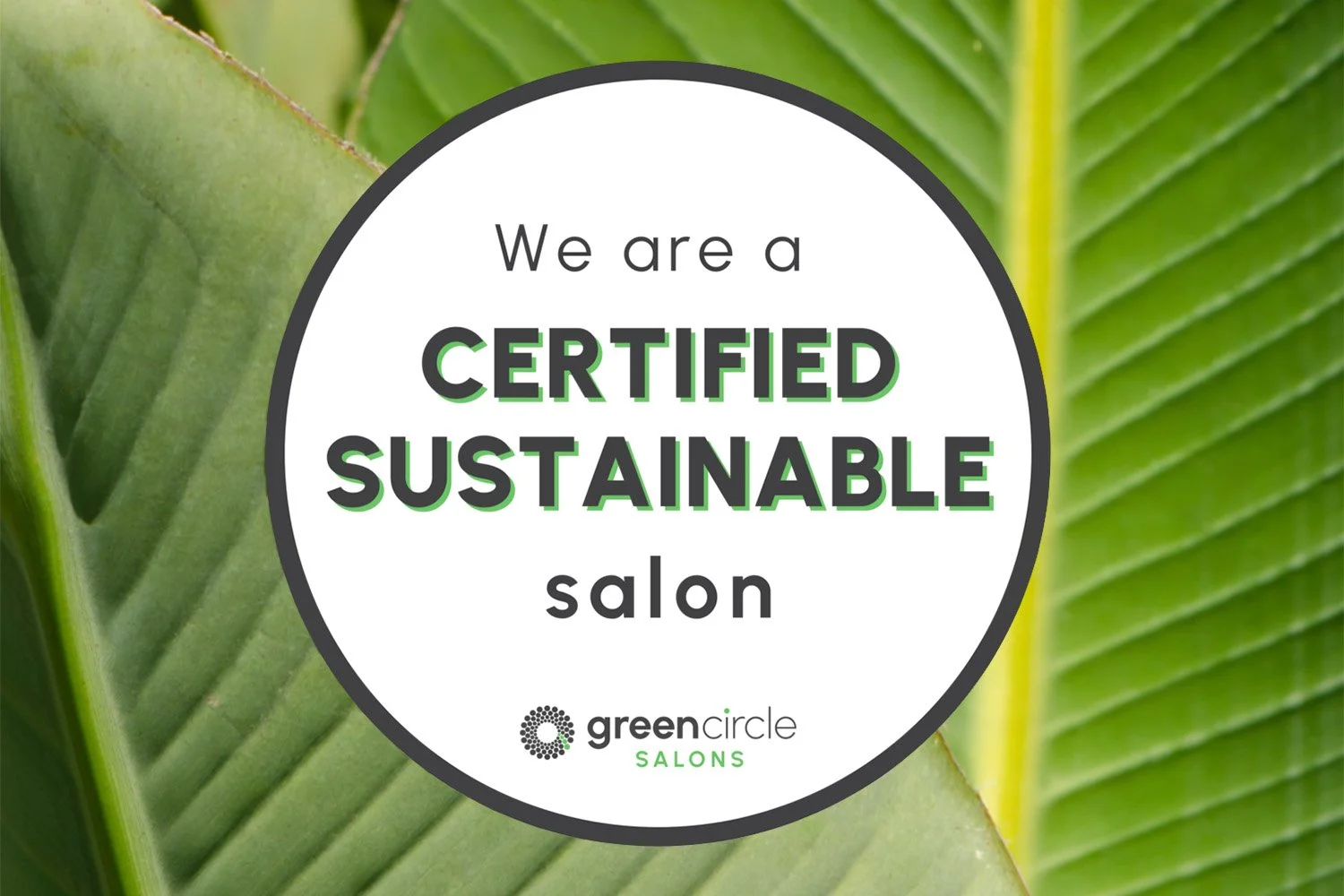 Certified-Sustainable-GreenCircle Salon.jpg