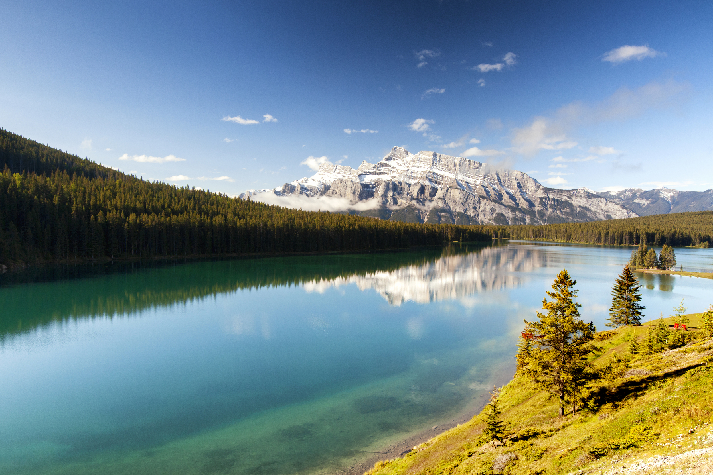_MG_2595.jpg
