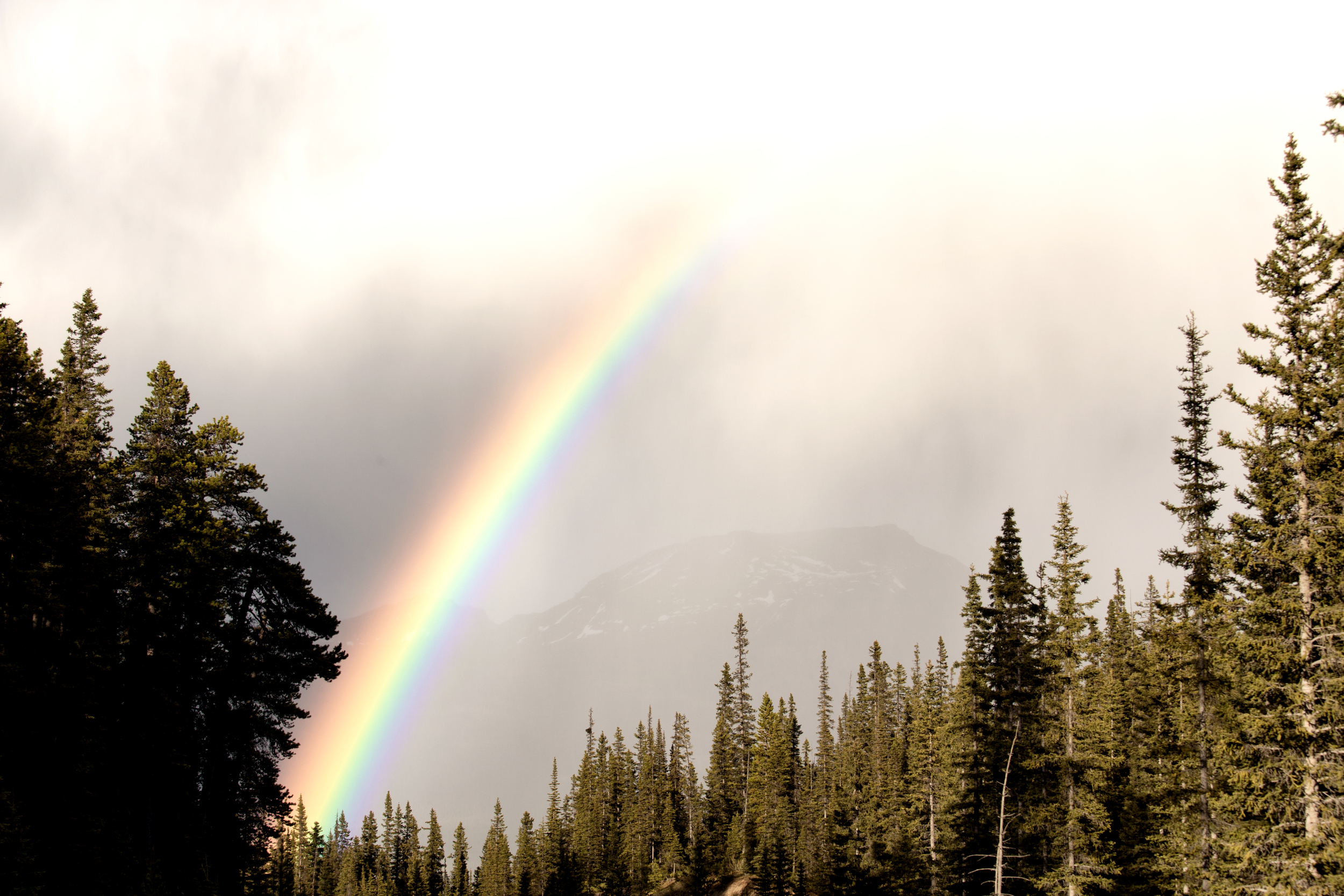 _MG_5817.jpg