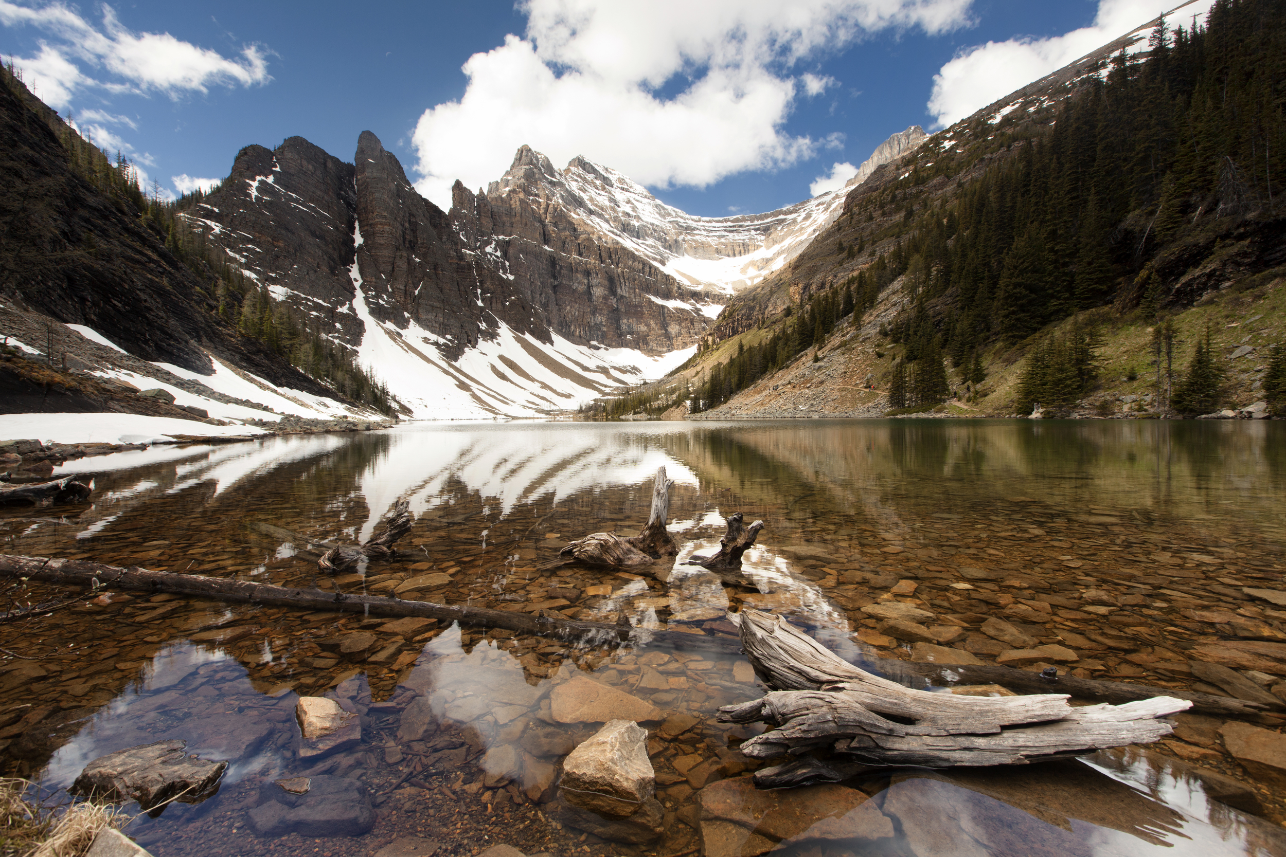 _MG_3895.jpg