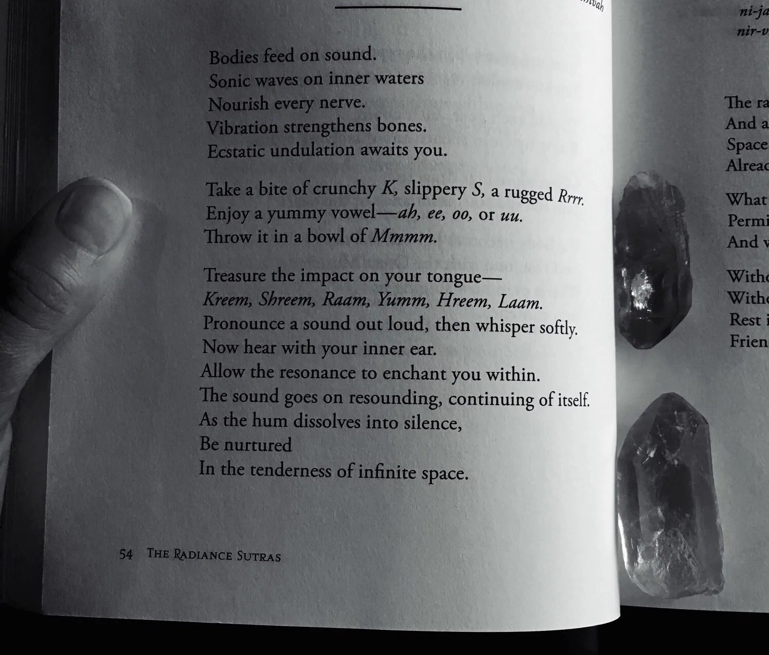 The Radiance Sutras