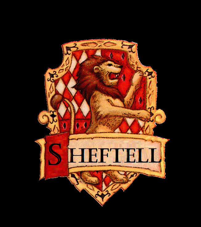 DavidSheftell.com