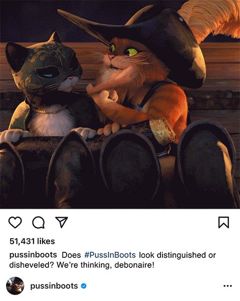 Puss-Breaker.gif