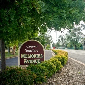 Memorial_Ave__99828.1431324439.285.365.jpg