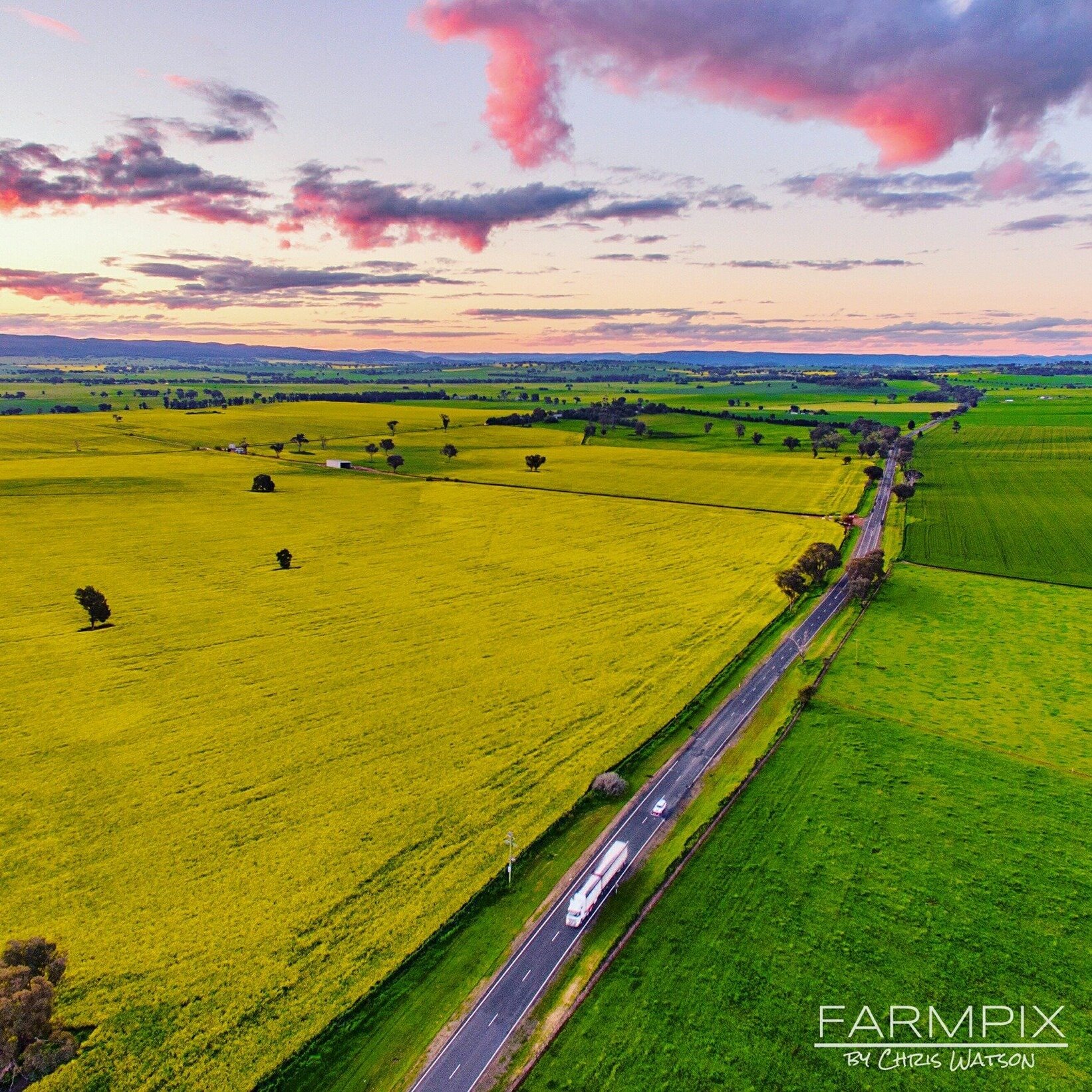 COWRA FIELDS OF GOLD 🌾🧑&zwj;🌾

With the cold weather well and truly upon us, plan your Cowra trip for Spring when our stunning Fields of Gold are in bloom! 

Each year, Cowra Tourism Corporation partner with local businesses to bring you a unique 