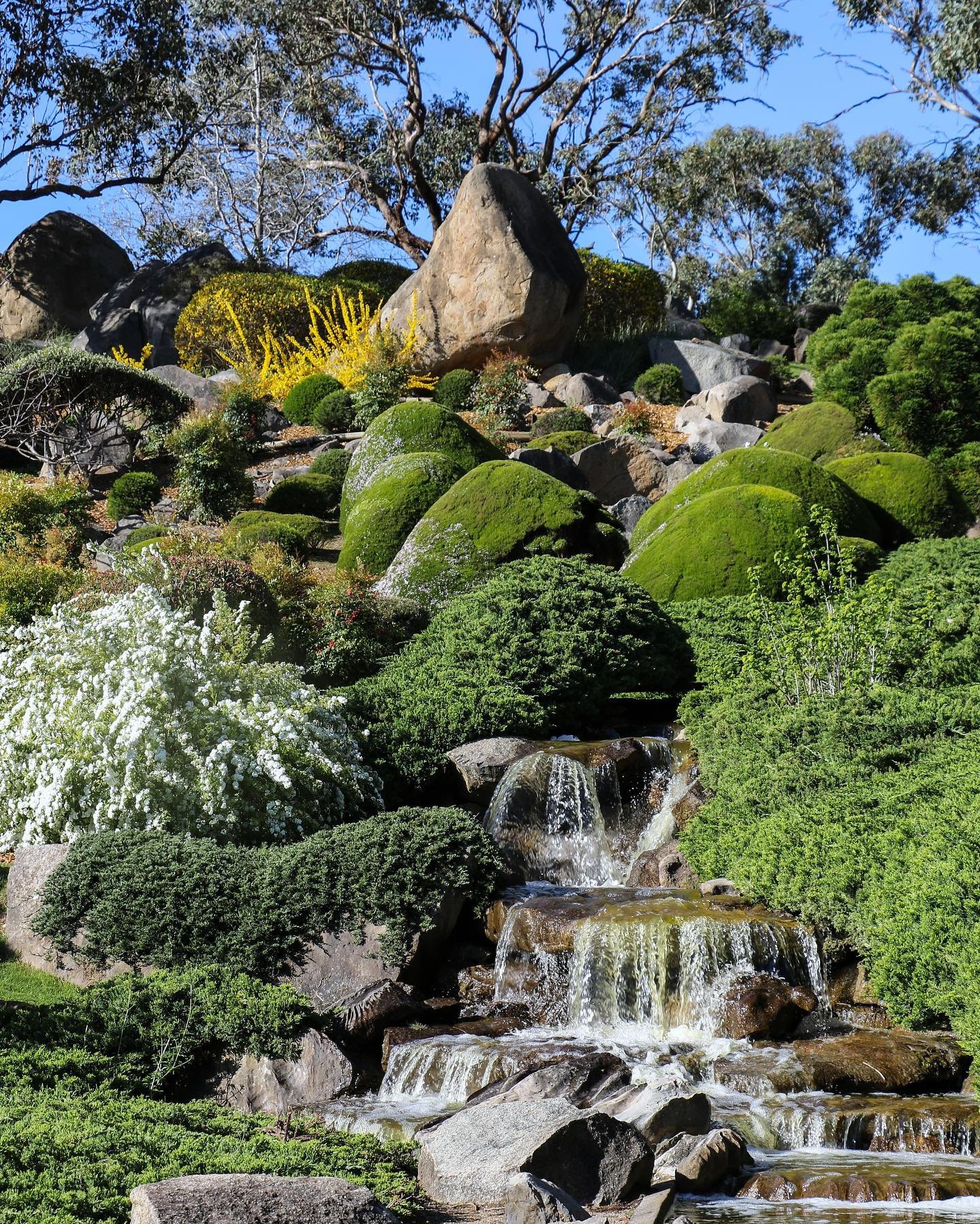 Japanese Garden & Cultural Centre — Visit Cowra
