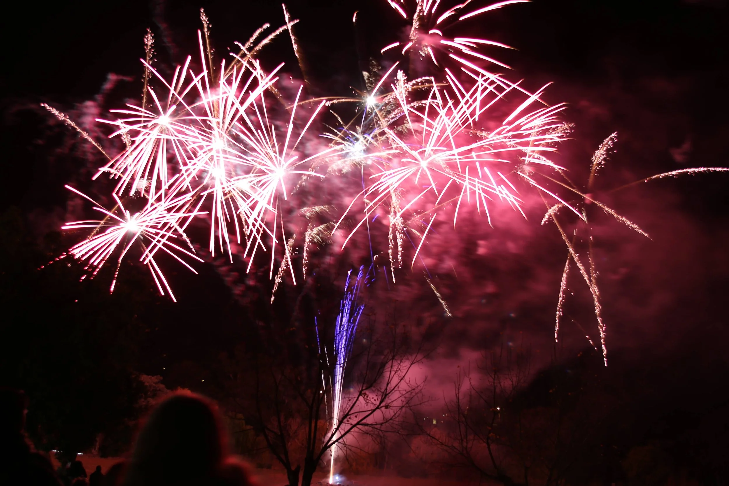Wyangala Bonfire and Fireworks Spectacular — Visit Cowra