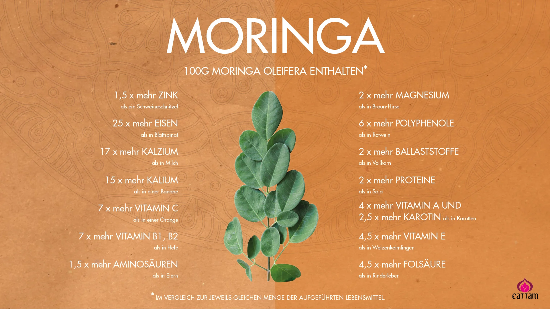 Slideshow Moringa Übersicht