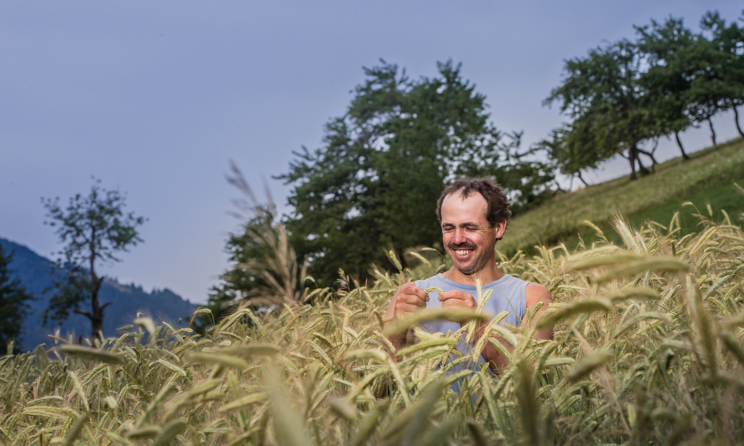 BLW Bundesamt für Landwirtschaft