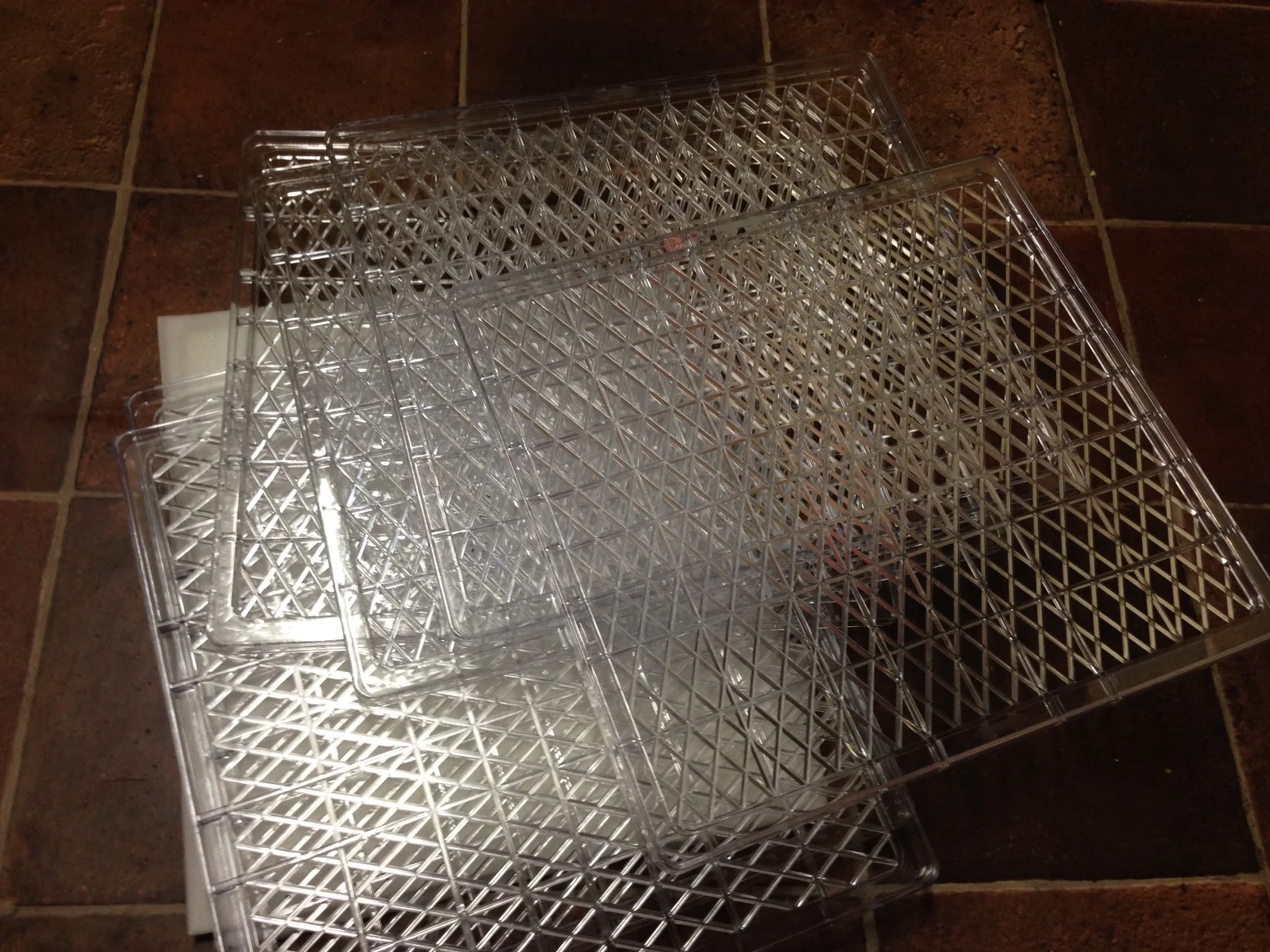 Seriously, if I got replacement trays, then WTF happened to Brendan?