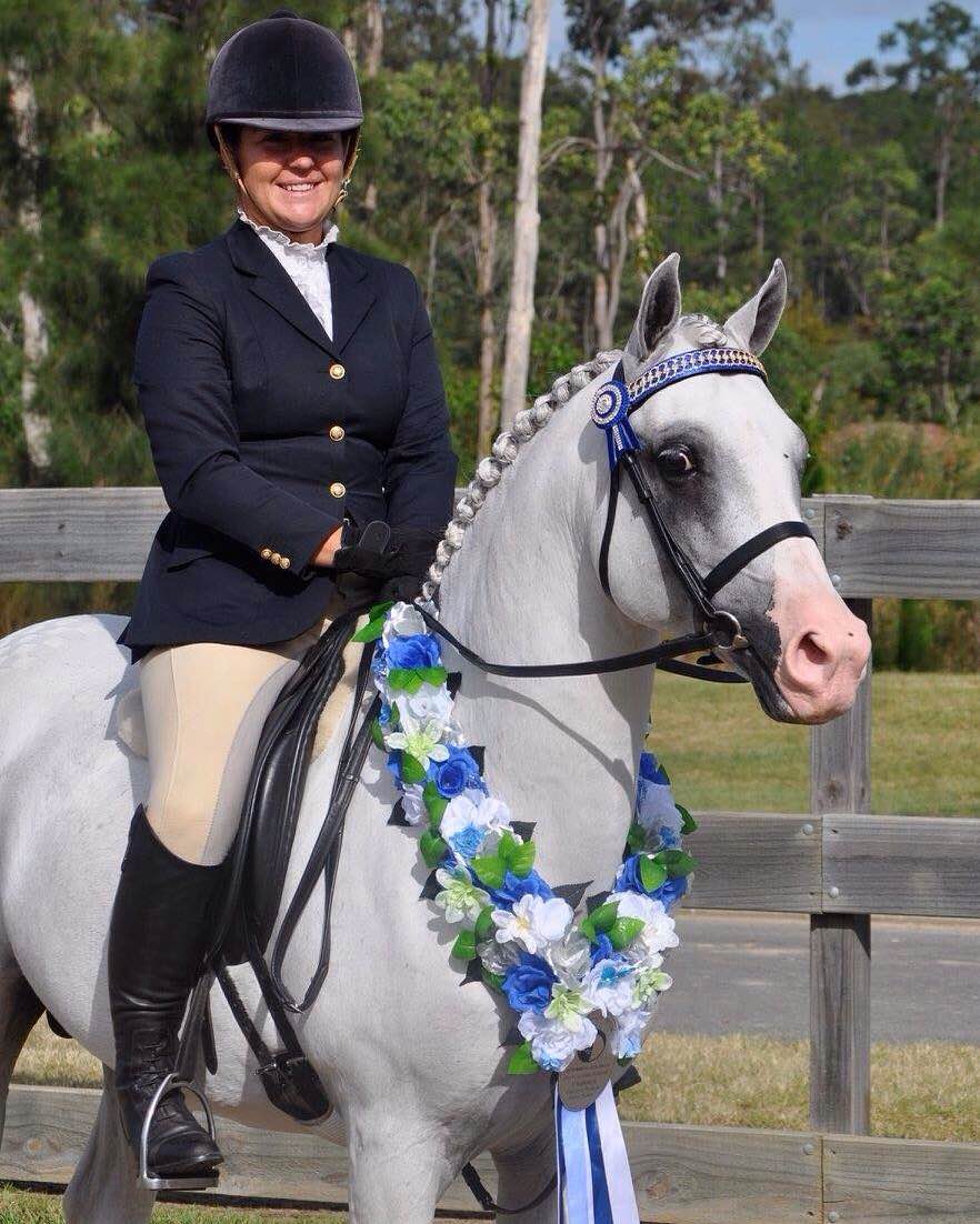 About HLS — HLS Trick Riding & equestrian services