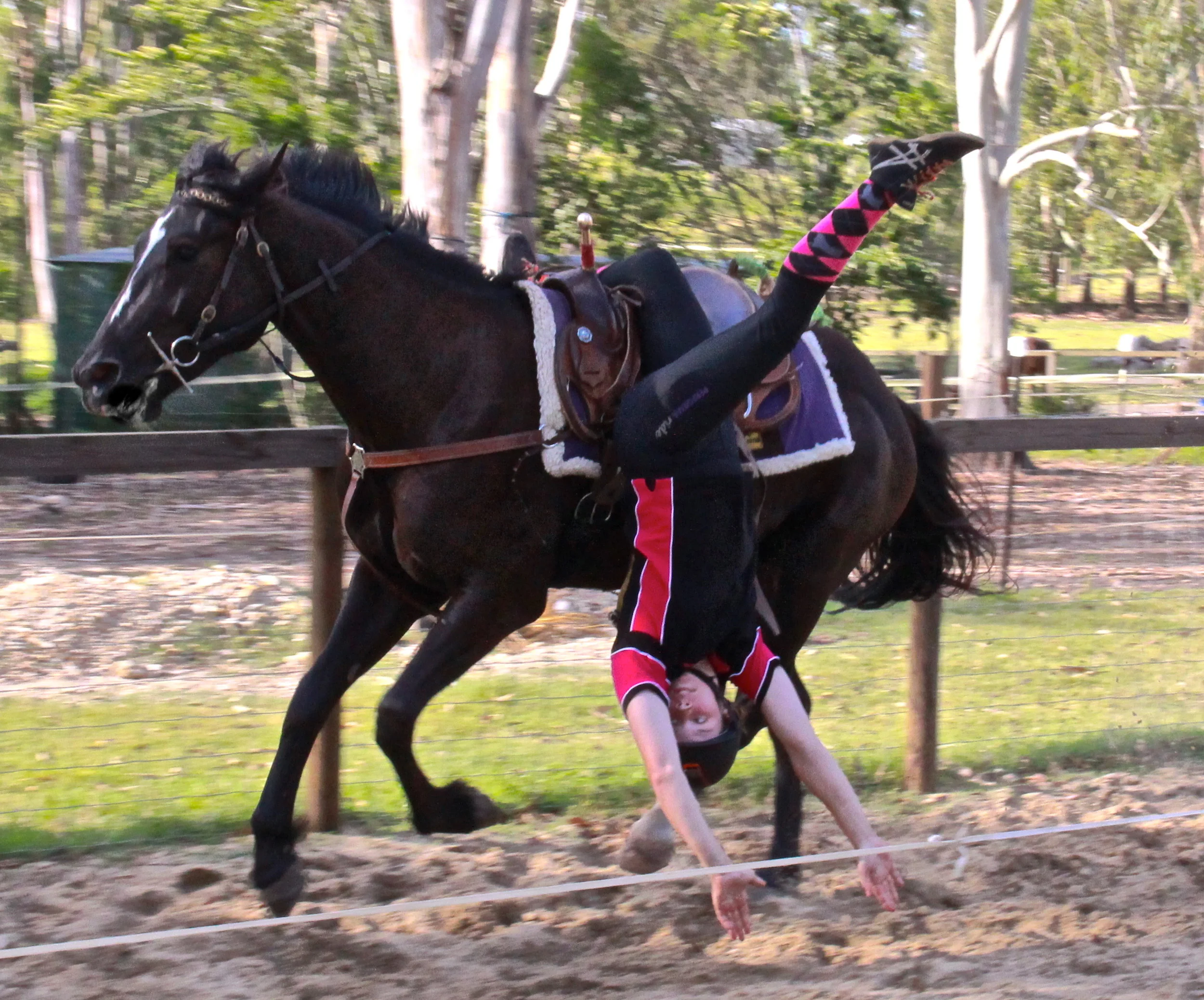 HLS Trick Riding