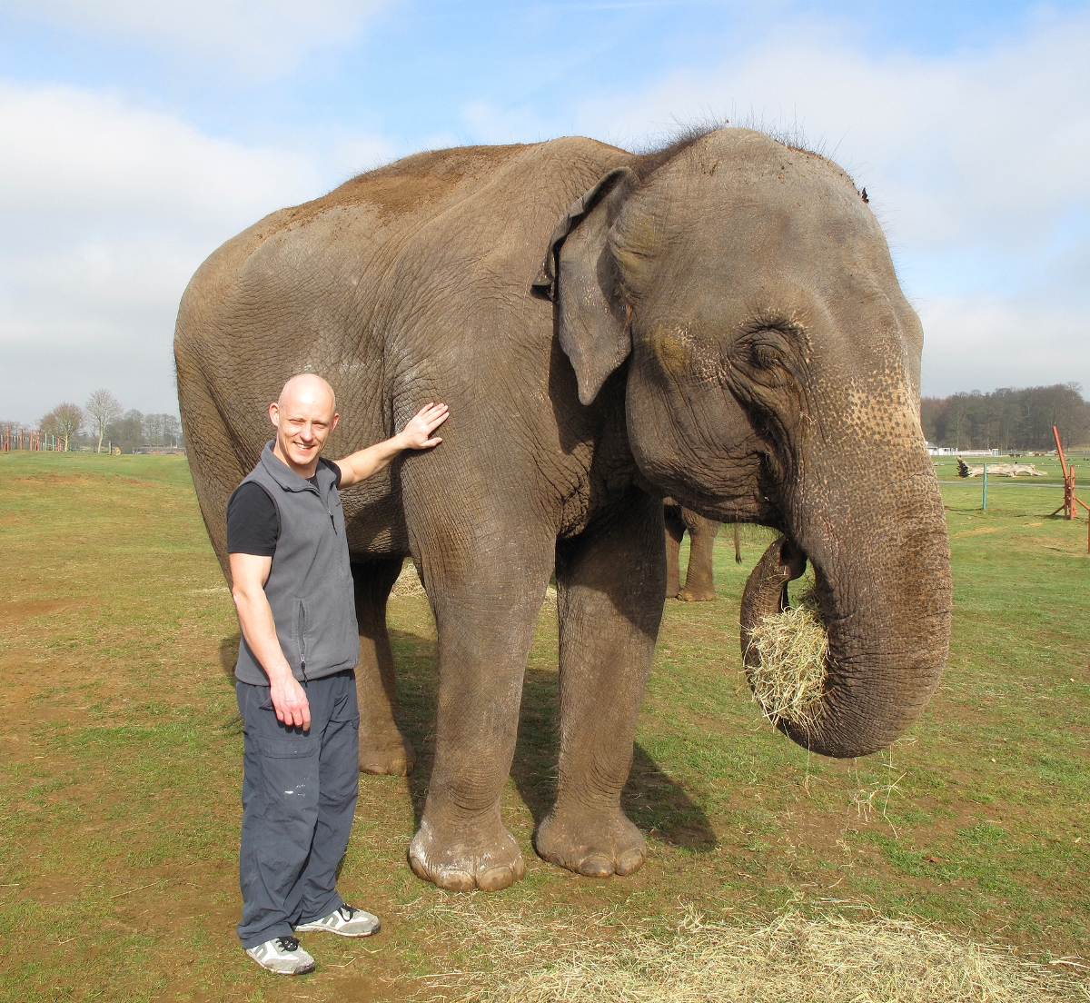 André Masters and Chandrika the elephant