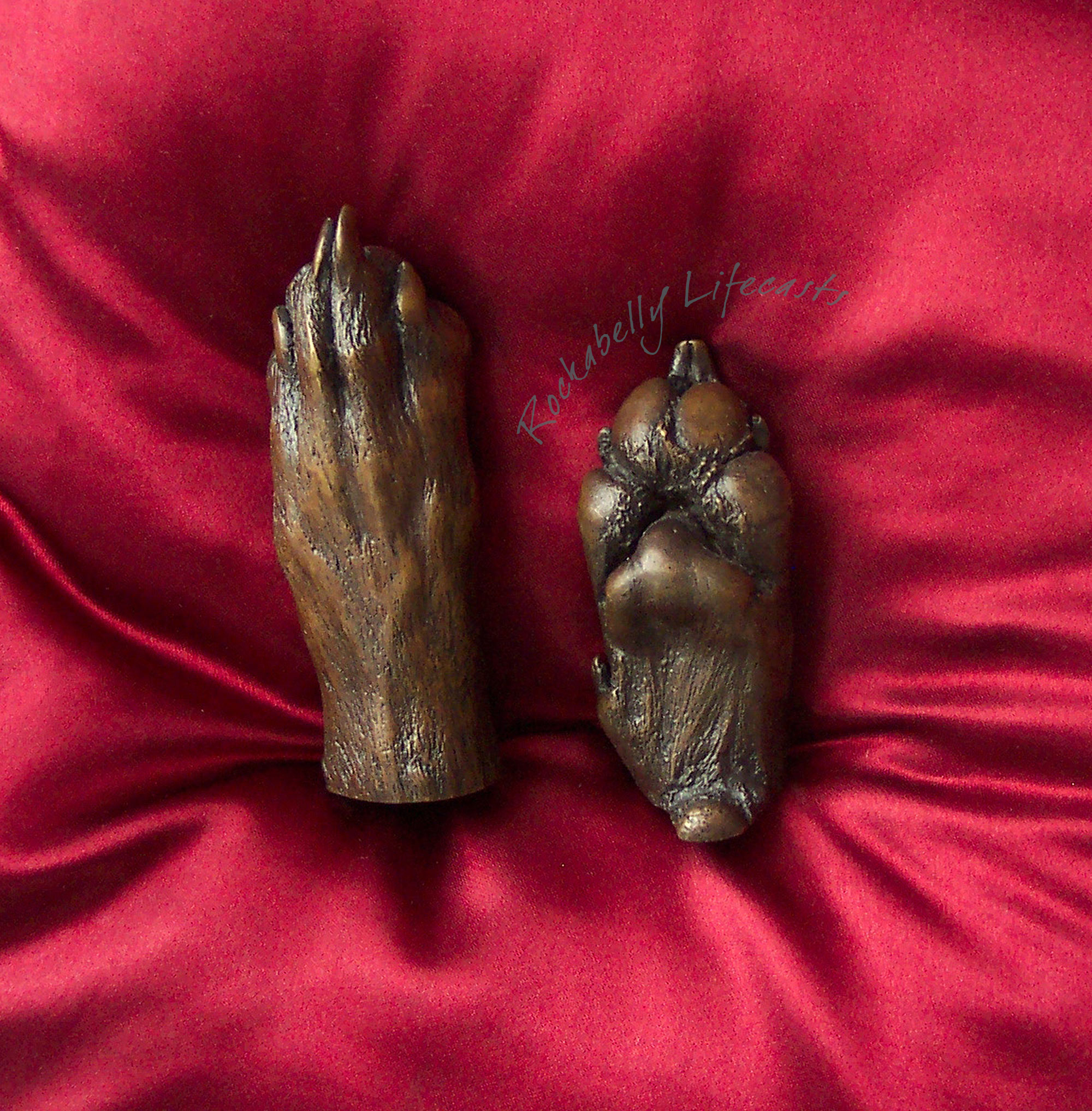 Bronze dog paw casts by Rockabelly Lifecasts