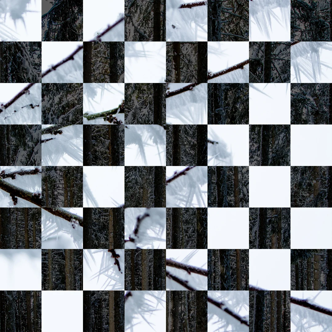 Winter Chesscape