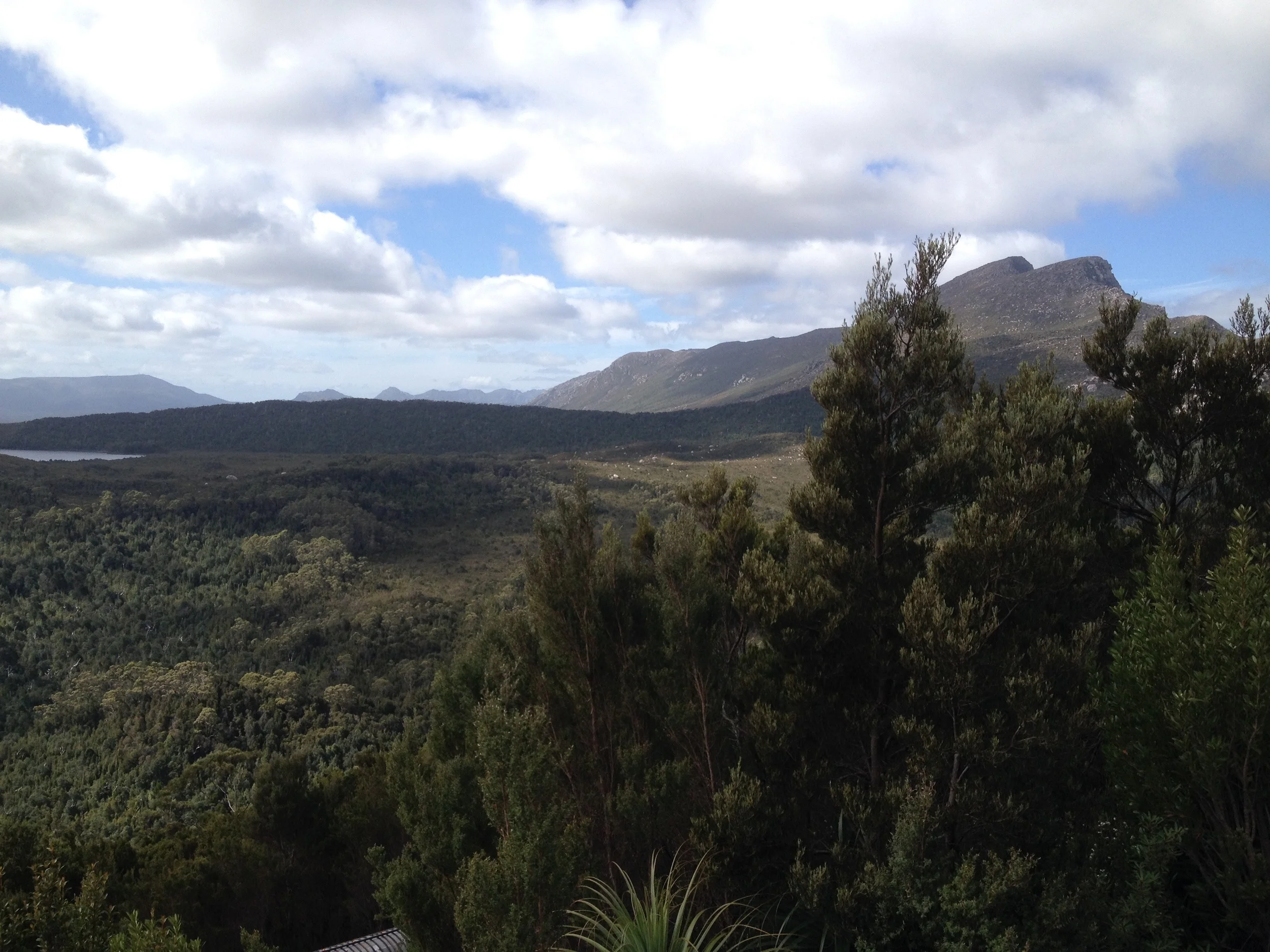 Mt Sedgwick