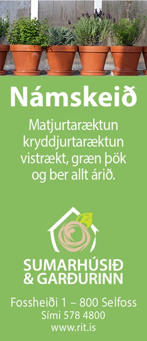 Sumarhúsið og garðurinn