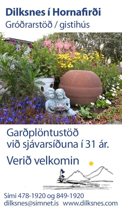 Dilknes gróðrarstöð