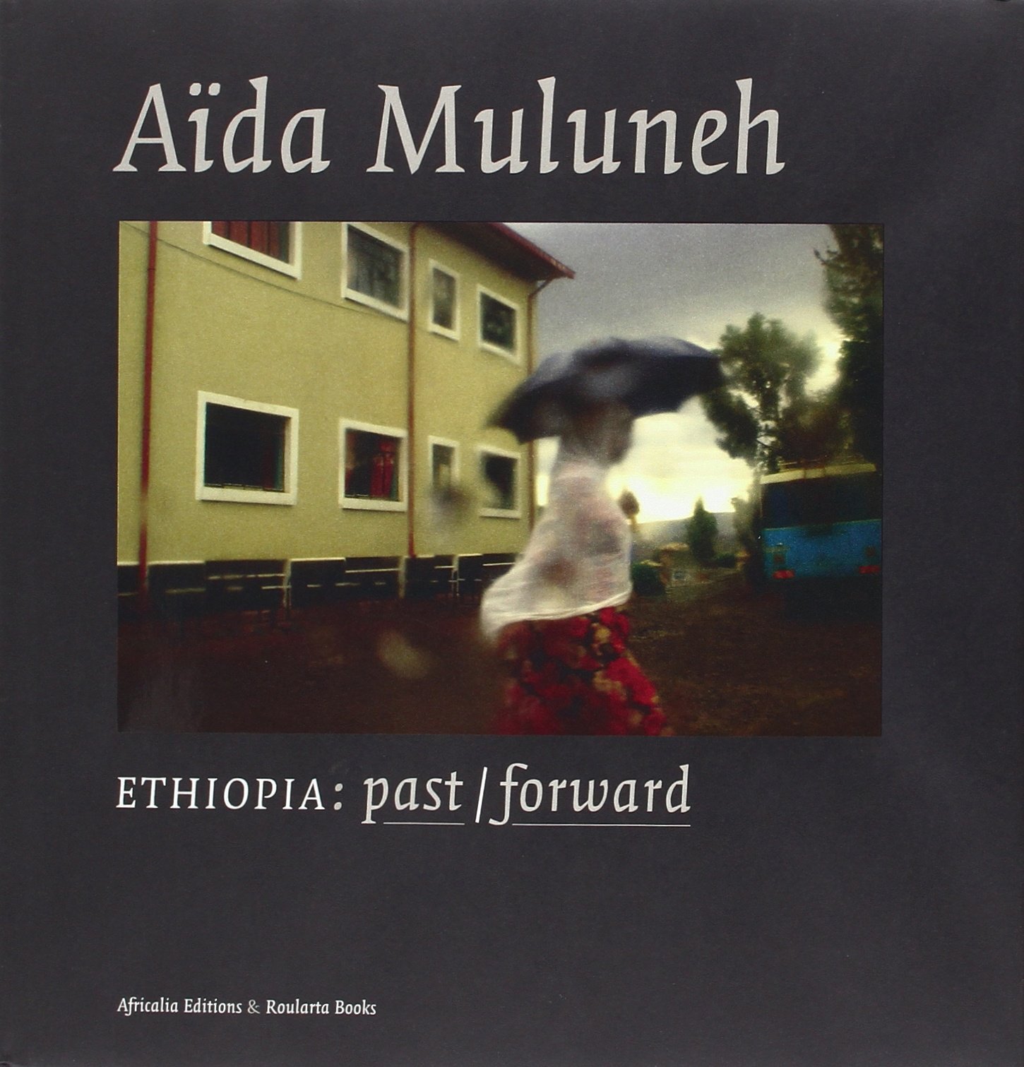 Ethiopia Past:forward (Book)