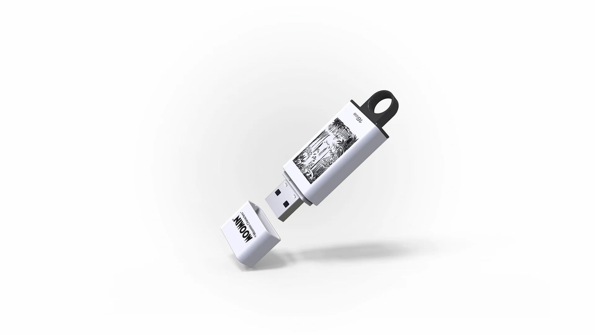 Product Design: Kingston USB Stick and Moomin