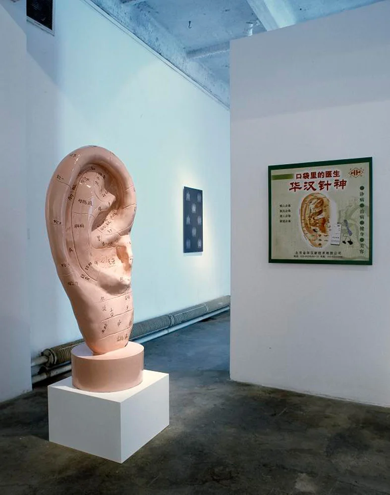 Tony Scott, installation view