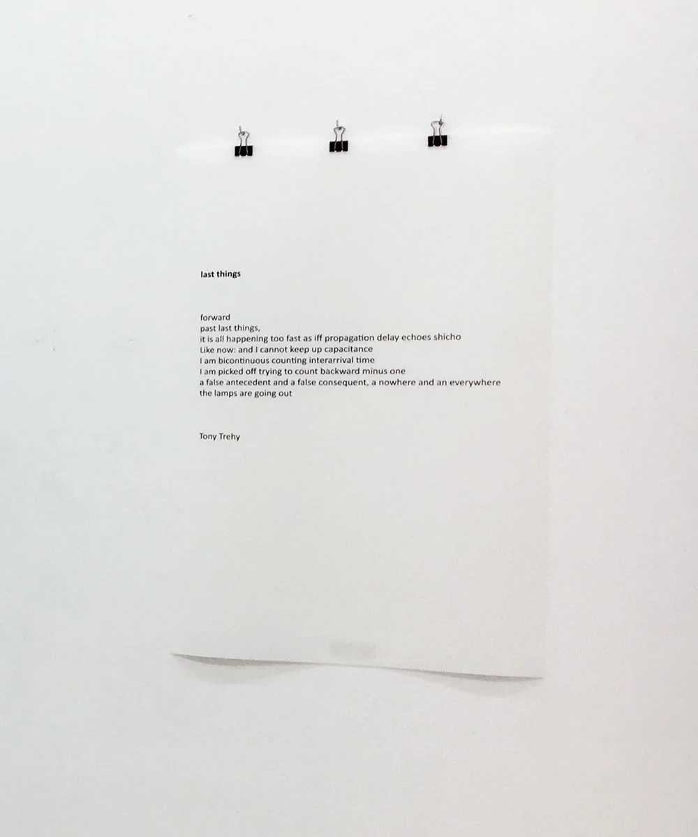 Tony Trehy Last Things text on vinyl 2016