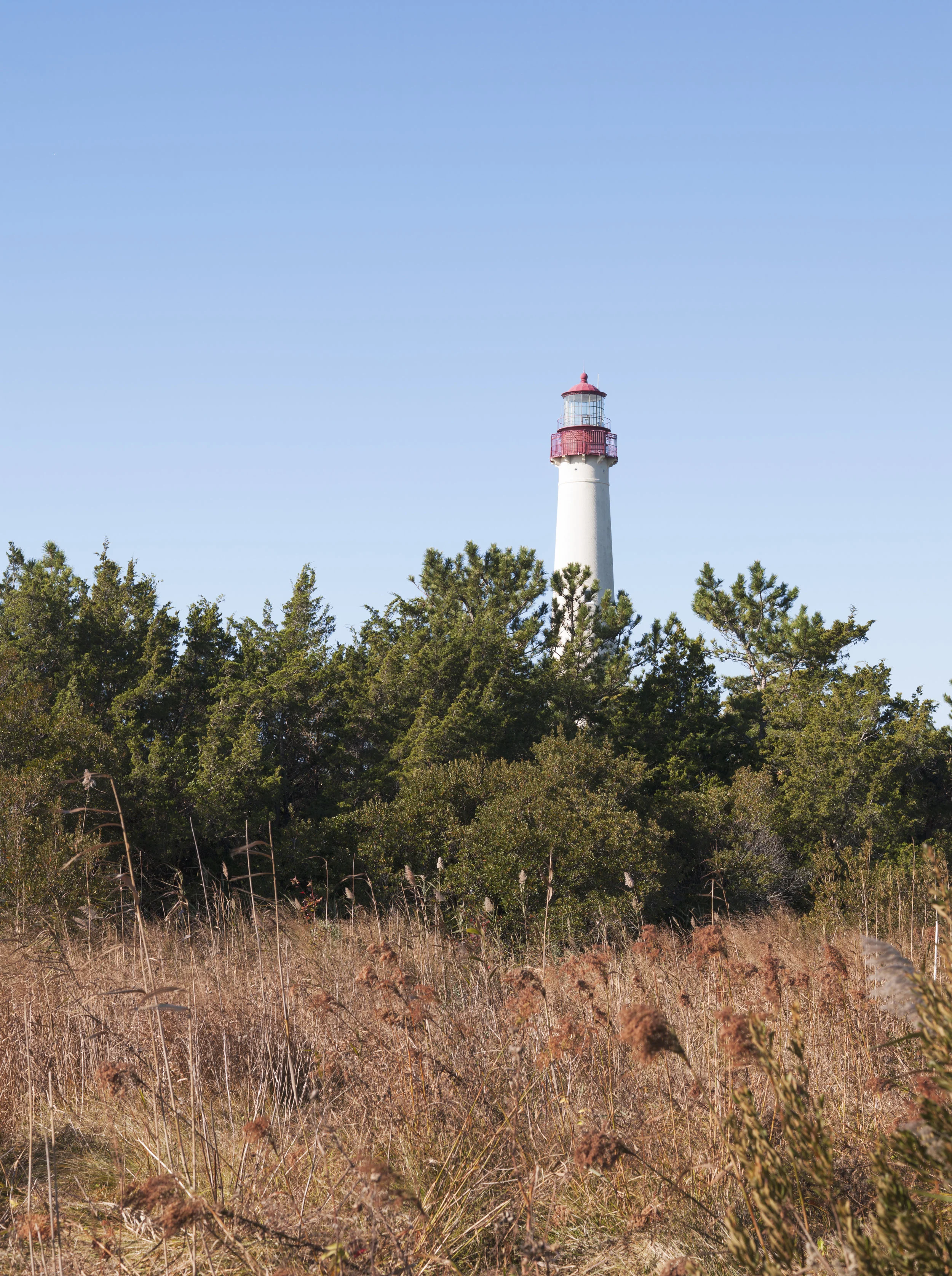 Cape May-402.jpg