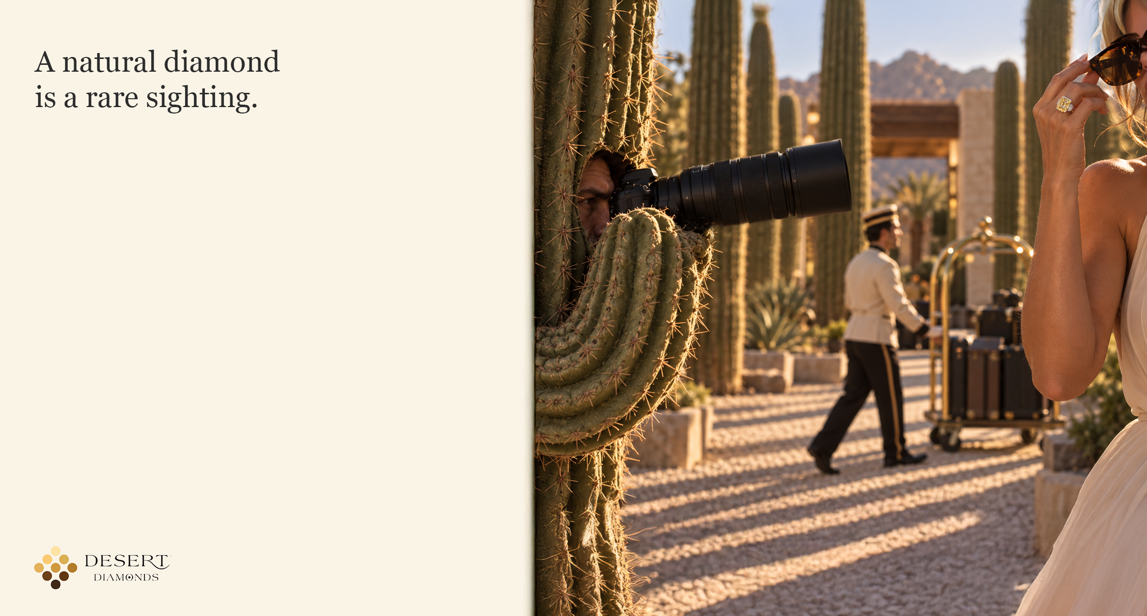 Cactus_Sighting.png