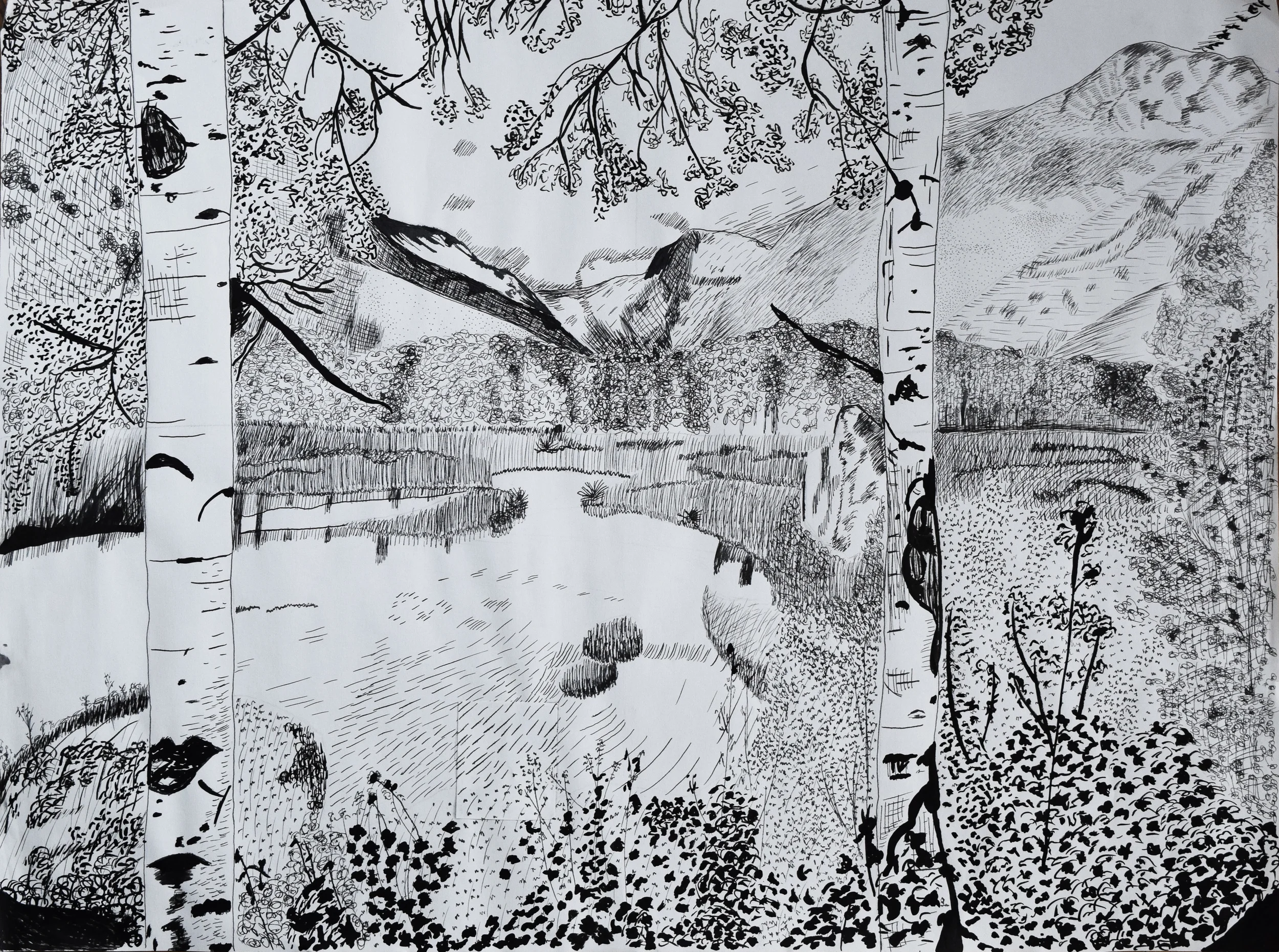 Landscape Drawing.jpg