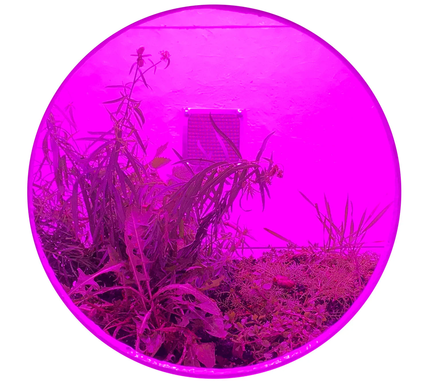 Habitat Pod (Systemata Hortensium I)